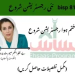 8171 CNIC Check Online 2025 – Step-by-Step Guide to Receive Payment