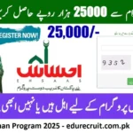 💰 احساس پروگرام 8171 کے پیسے کیسے چیک کریں؟ مکمل رہنمائی 2025