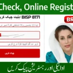 🧾 بینظیر انکم سپورٹ پروگرام کیسے چیک کریں؟ مکمل تفصیل 2025