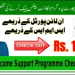 How to Easily Perform Benazir Income Support Programme Check by CNIC in 2025