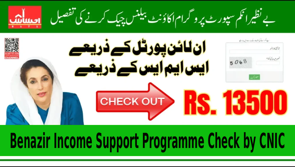 How to Easily Perform Benazir Income Support Programme Check by CNIC in 2025