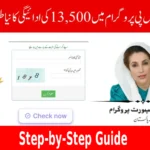 BISP 8171 Payment 2025 Check Your Money Online Easily