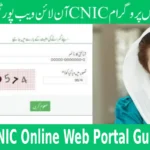 8171 Ehsaas Program Check CNIC Online Web Portal Guide 2025
