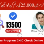Ehsaas Program CNIC Check Online 25000