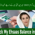 How Can I Check My Ehsaas Balance in 2025?
